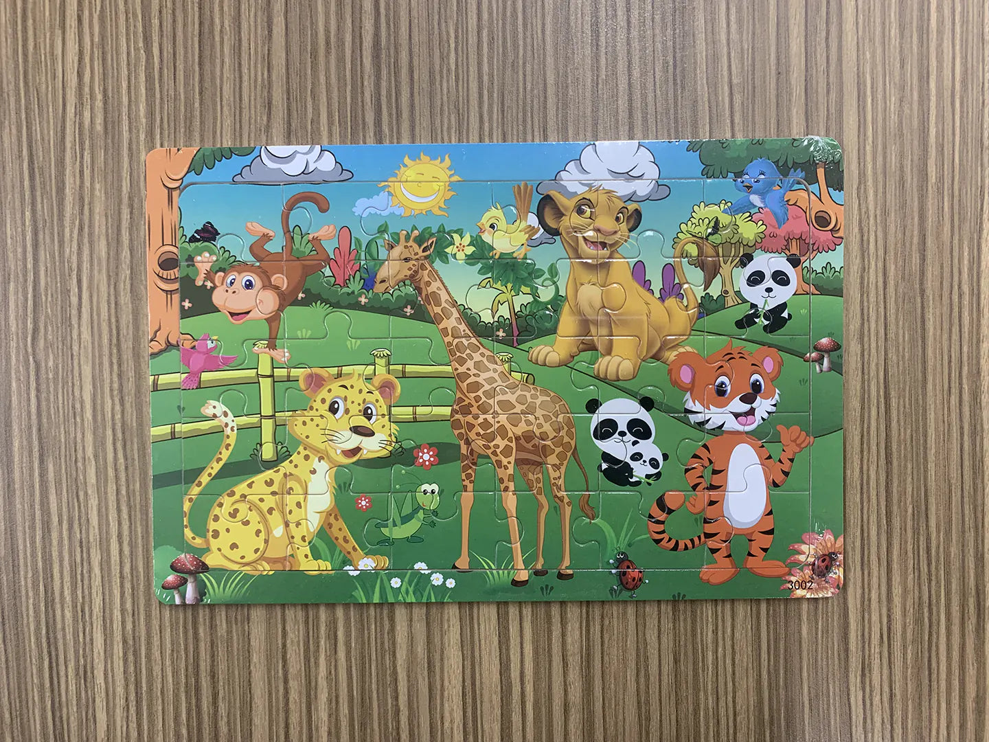 Character and Animal Puzzles (Pack of 5) - Steps2Life