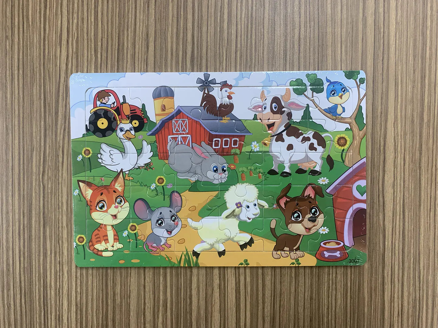 Character and Animal Puzzles (Pack of 5) - Steps2Life